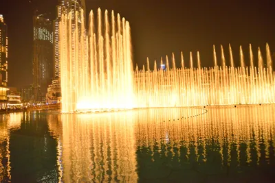 DSC_4113 (Large).JPG